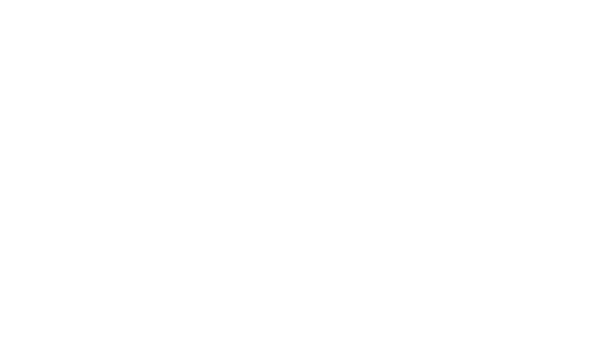 Rain Roofing Pros